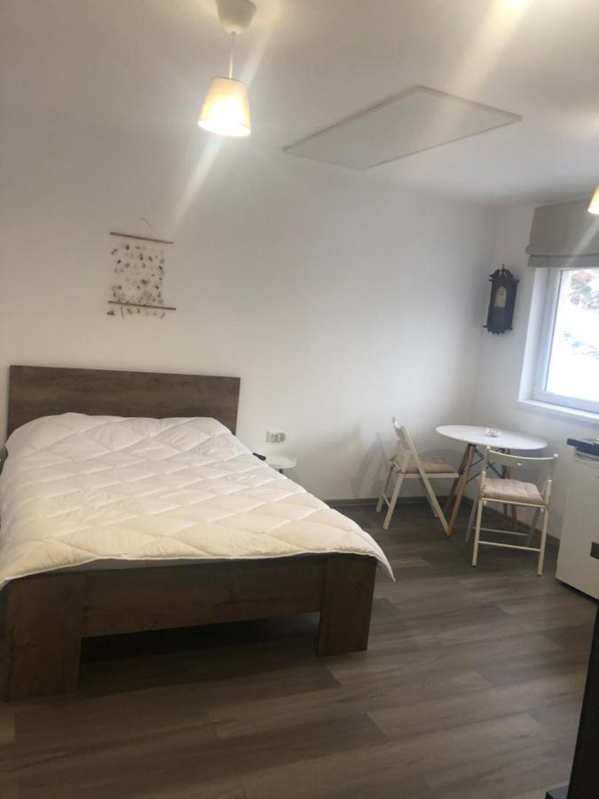 Garsoniera La Munte Apartment Азуга Екстериор снимка